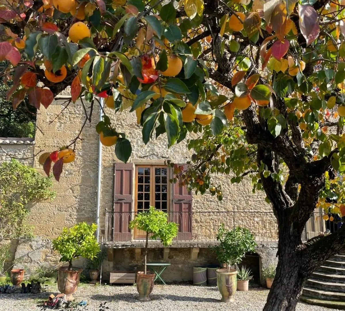 #Gn The Fontlozier Castle #Gn Villa Valence  France