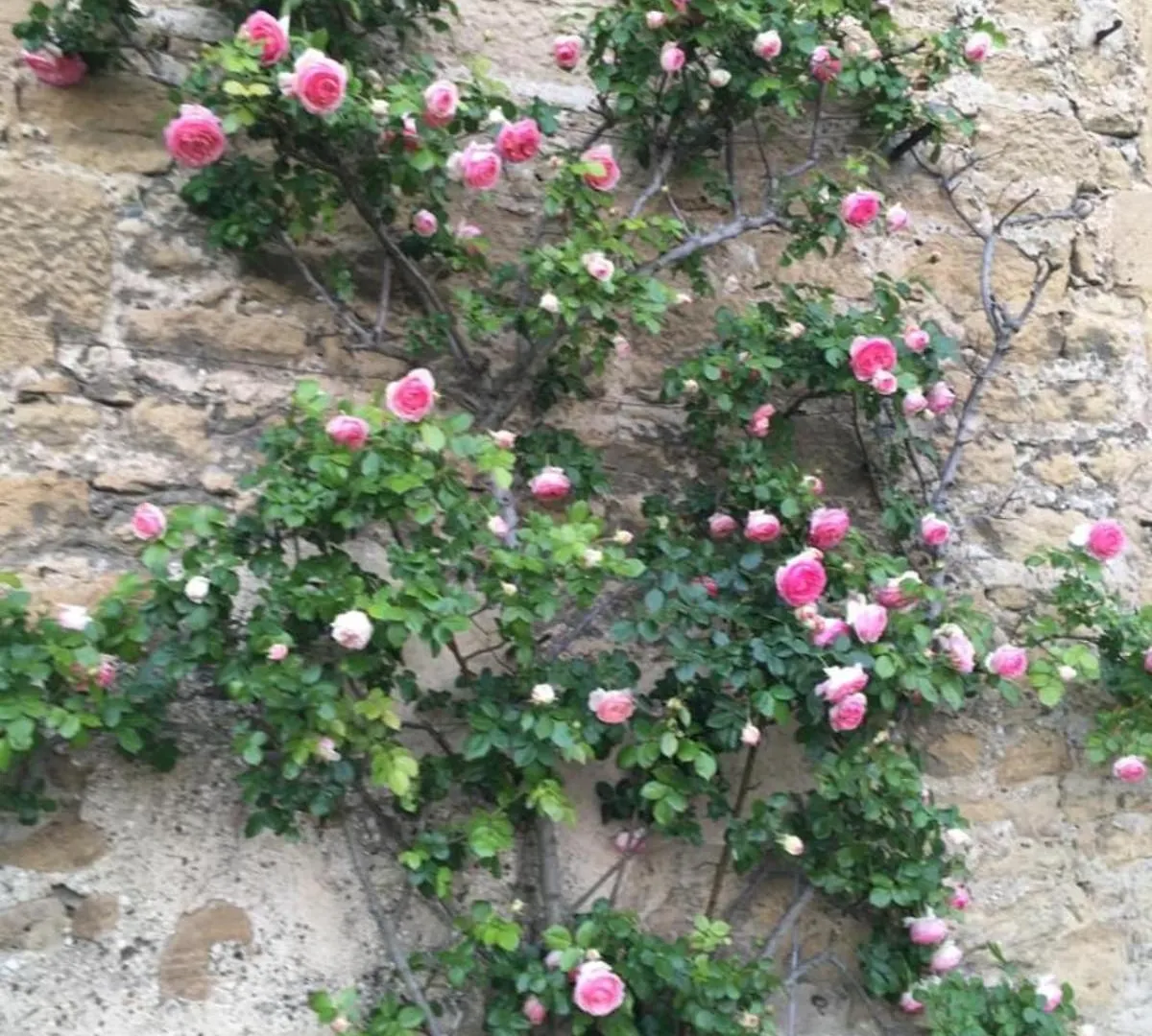 Holiday home #Gn The Fontlozier Castle #Gn Villa Valence